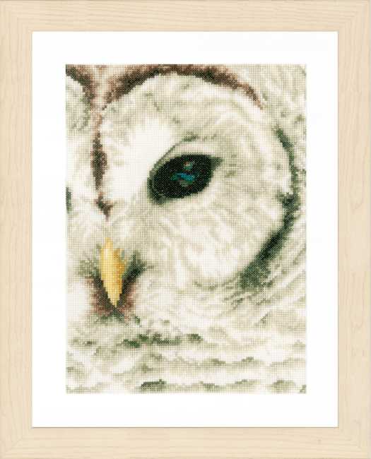 Owl Cross Stitch Kit By Lanarte