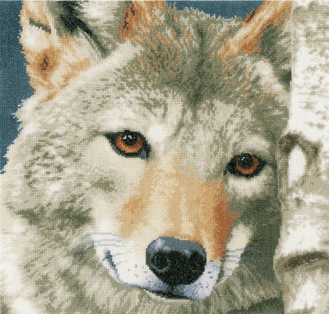 Wolf Cross Stitch Kit By Lanarte