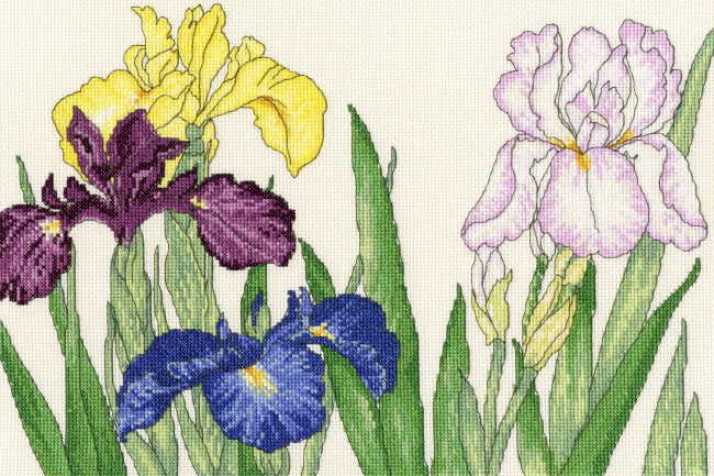 Iris Blooms Cross Stitch Kit By Bothy Threads