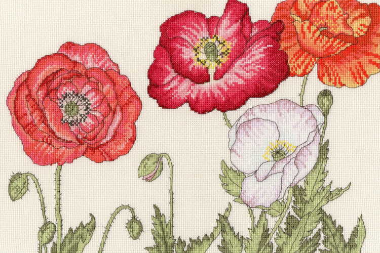 Poppy Blooms Cross Stitch Kit By Bothy Threads