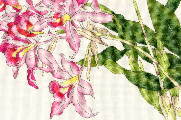 Orchid Blooms Cross Stitch Kit By Bothy Threads