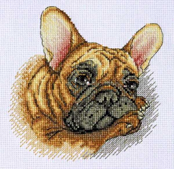 French Bulldog Cross Stitch Kit by Merejka
